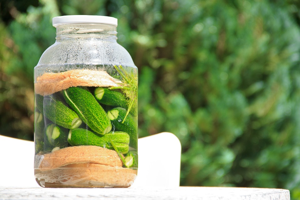 pickled-cucumber